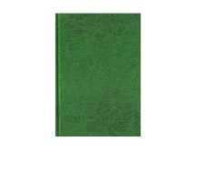 Arbeitsbuch A4 96 Blatt grün
