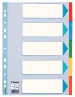 Kartonregister Standard Blanko, A4, Karton, 5 Blatt