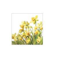 Serviette "Golden Daffodils" 25 x 25 cm 20er Packung