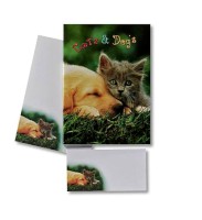 Briefpapiermappe Cat and Dog DIN A4 mehrfarbig