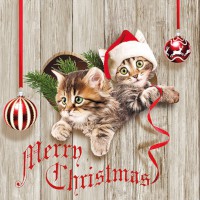 Serviette Weihnachten "Curious Kitten" 33 x 33 cm 20er Packung